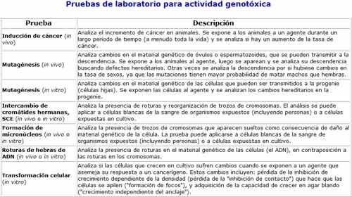 tipos de cáncer