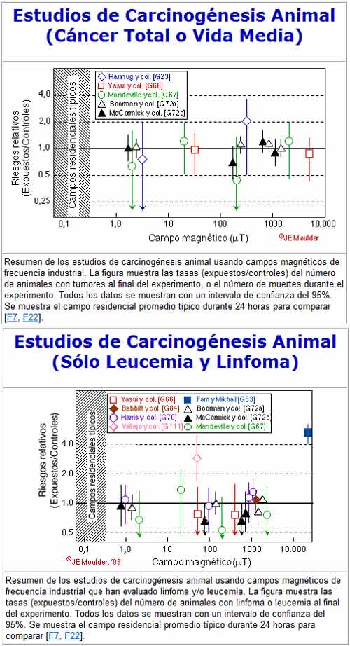 tipos de cáncer
