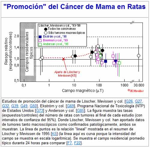 tipos de cáncer