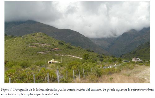 Impacto ambiental