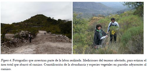 Impacto ambiental