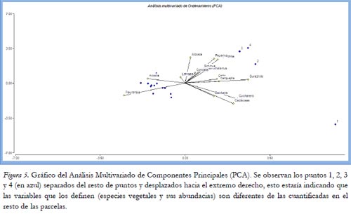 Impacto ambiental