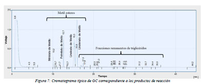 Impacto Ambiental