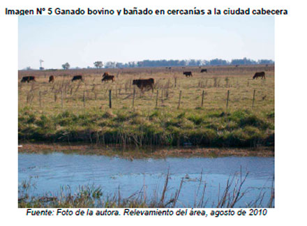 Impacto Ambiental