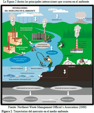 Impacto Ambiental