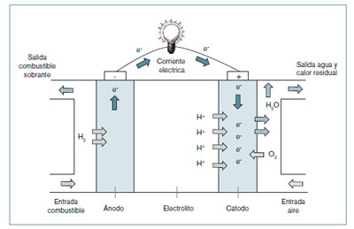 Impacto Ambiental
