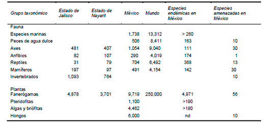 Impacto Ambiental