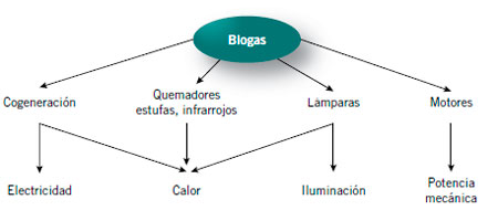 Impacto Ambiental