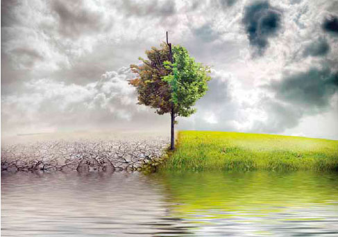 Impacto Ambiental