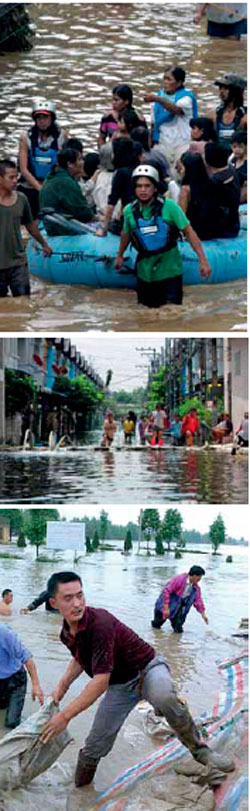 Impacto Ambiental