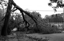 Tormenta Eléctrica