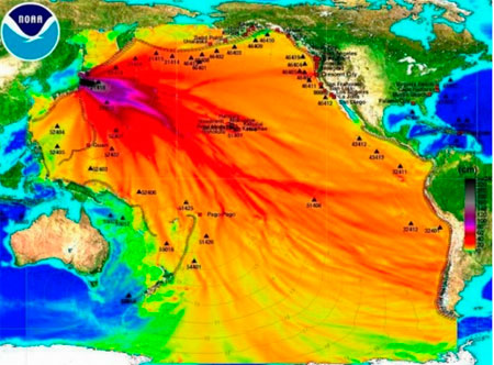 Impacto Ambiental