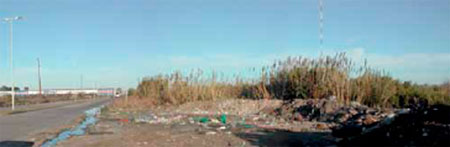 Impacto Ambiental