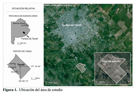 Impacto Ambiental