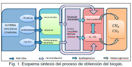 Energía de Biogas