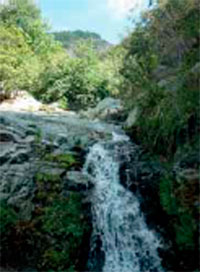 Régimen Jurídico del agua