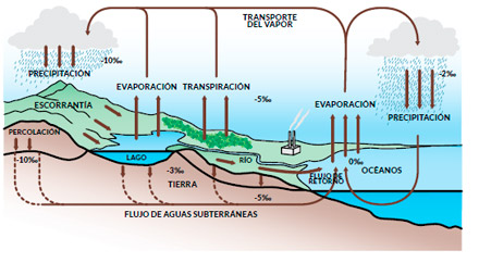 Impacto Ambiental