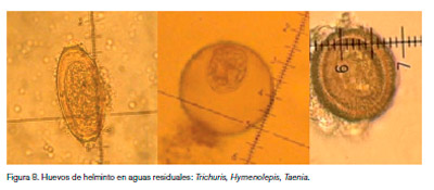 Aguas Residuales