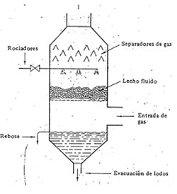 Efluentes Gaseosos