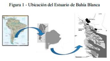 Impacto