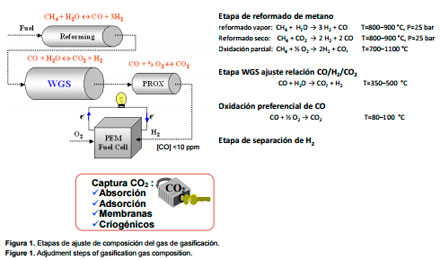Biomasa