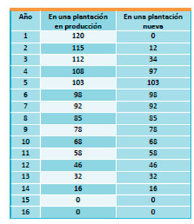 Efluentes Liquidos