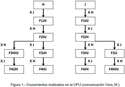 Sustentabilidad