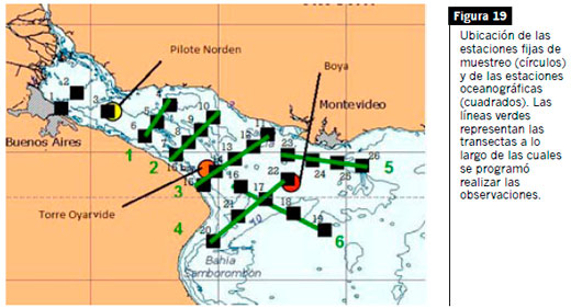 Efluentes Líquidos