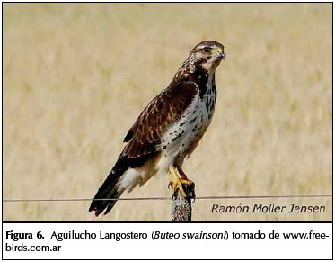 Cuales son los aportes de la ecotoxicología a las regulaciones ambientales