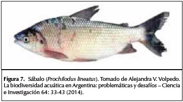 Cuales son los aportes de la ecotoxicología a las regulaciones ambientales