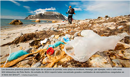 Contaminación plástica en el mar y seguridad en los alimentos marinos