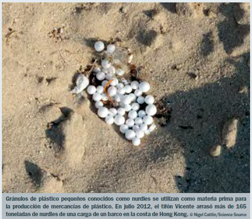Contaminación plástica en el mar y seguridad en los alimentos marinos