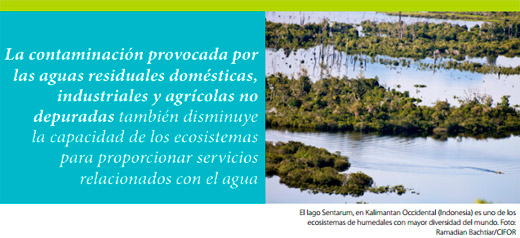 Contaminación Agua
