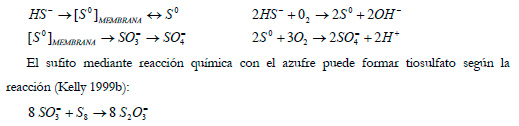 Efluentes gaseosos