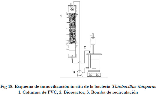 Efluentes gaseosos