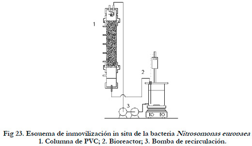 Efluentes gaseosos