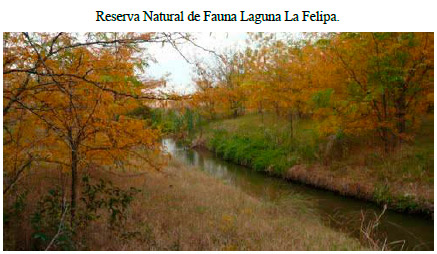 Gasoducto del Sur