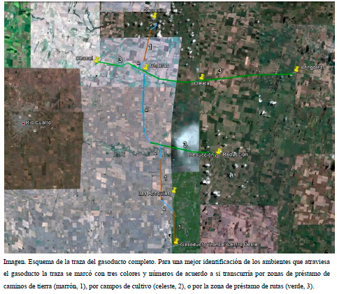 ESTUDIO DE IMPACTO AMBIENTAL