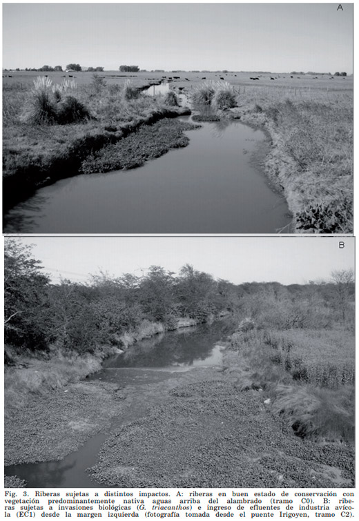 Evaluación Ambiental - Calidad del Agua