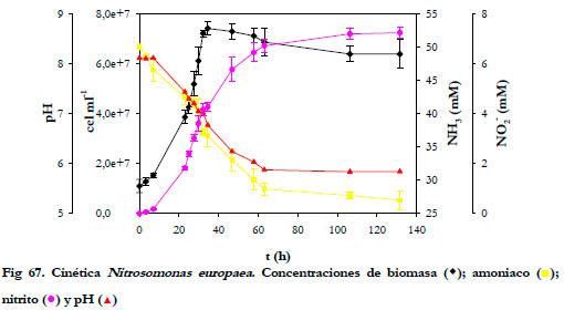 Efluentes Gaseosos