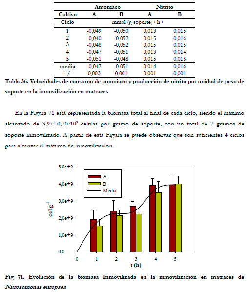 Efluentes Gaseosos