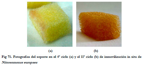 Efluentes Gaseosos