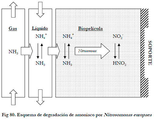 Efluentes Gaseosos