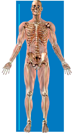 Ergonomía